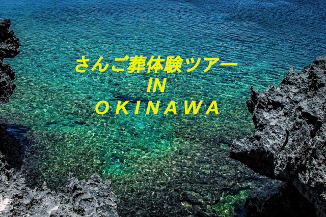 沖縄「さんご葬」体験 ～part.1～