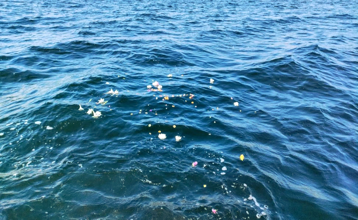 代行海洋散骨【 三河湾 】