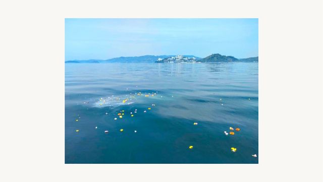 海洋散骨の画像
